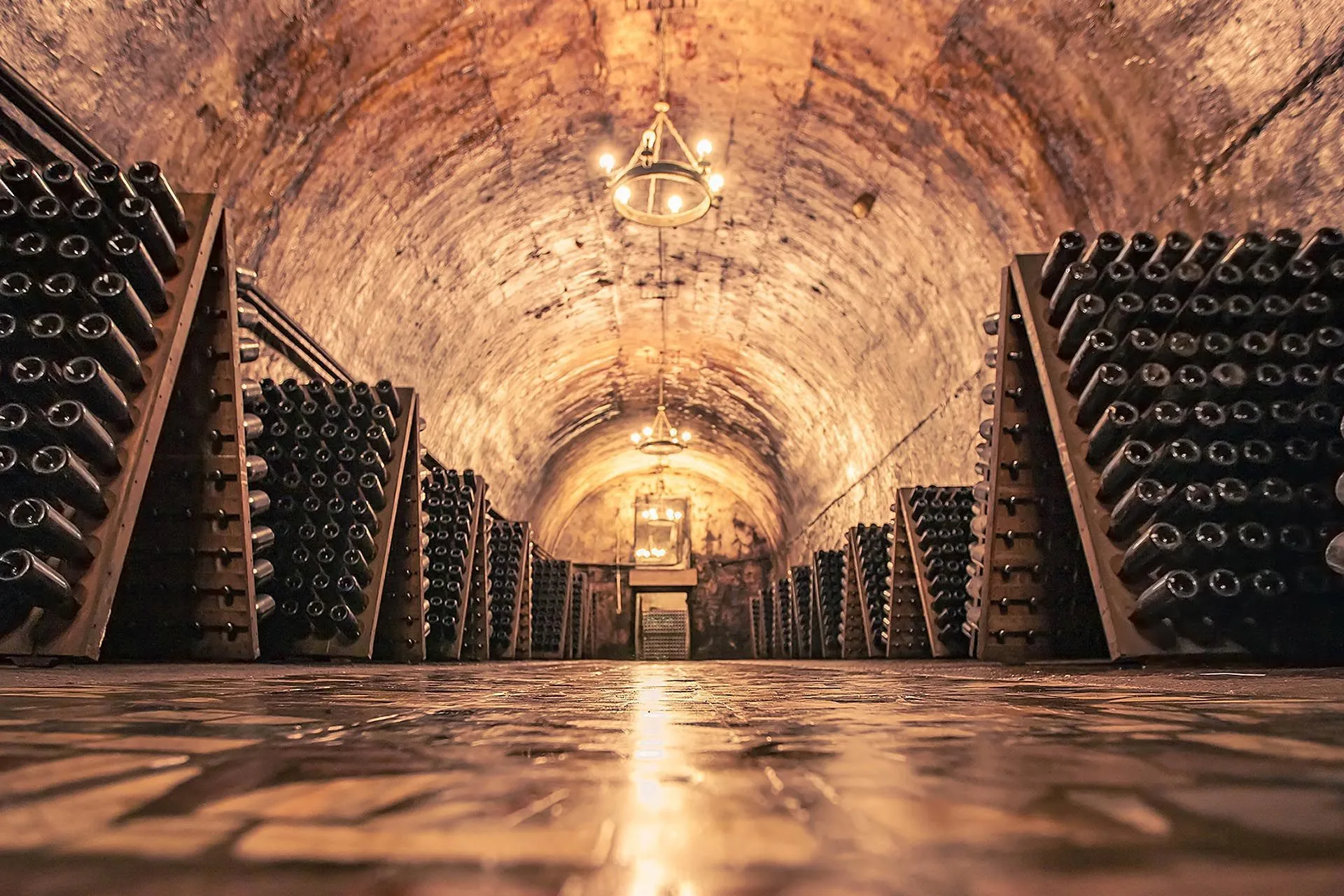 A vaulted chalk cellar lined with riddling racks of bottles, chandeliers along the tunnel