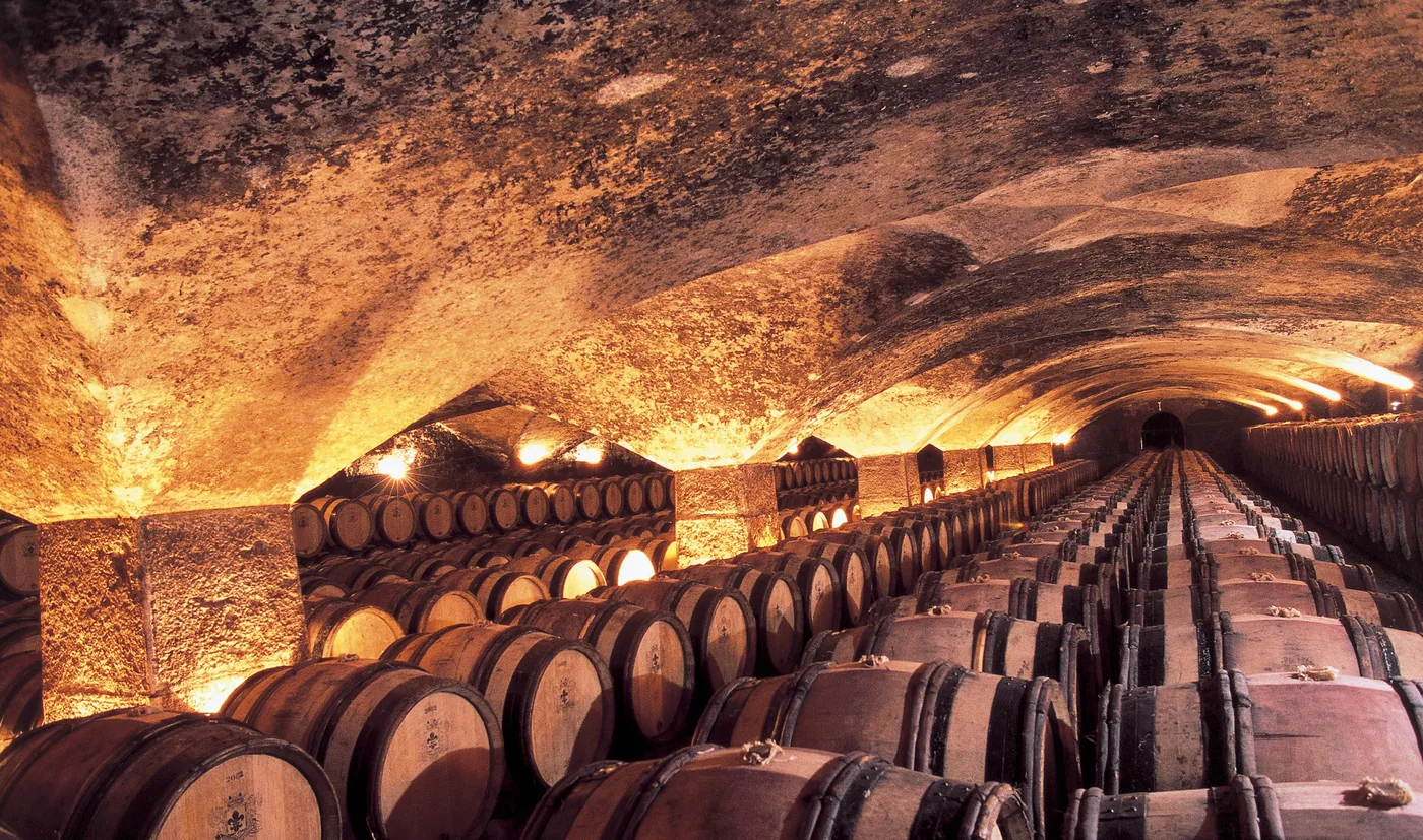 Oak barrels stacked in long rows under the vaulted chalk roof of a wine cellar