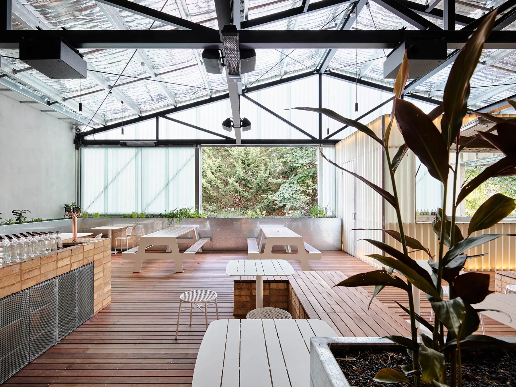A planted timber terrace under a sawtooth roof, with communal tables and a large potted fig in the foreground