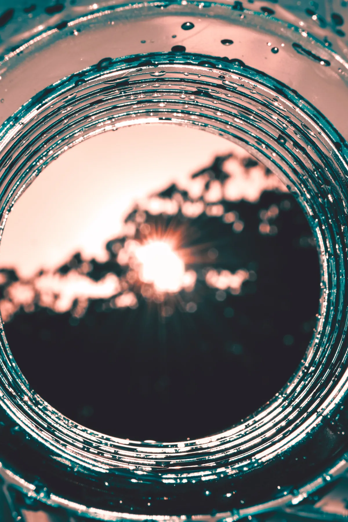 Looking up through the bottom of a water glass, beaded with droplets, at a low sun behind trees