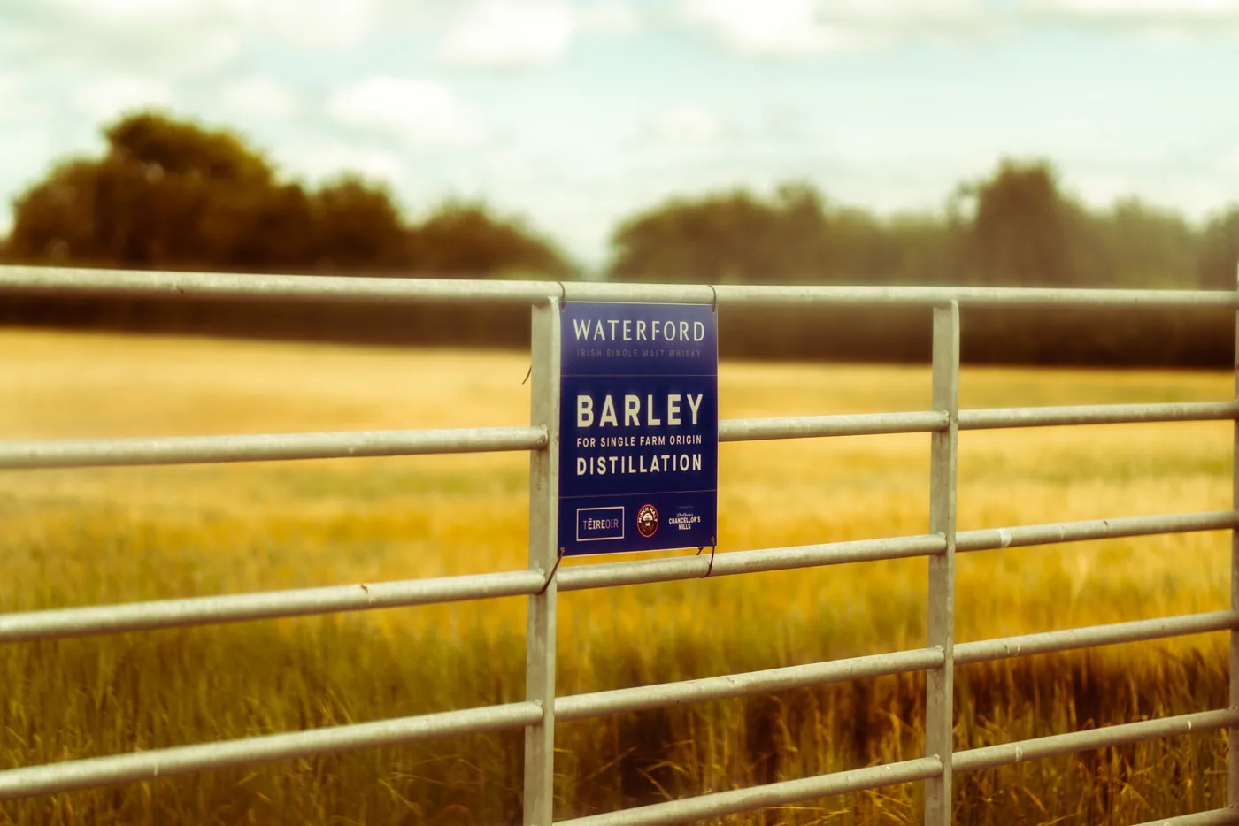 A Waterford Distillery sign reading 'Barley for Single Farm Origin Distillation' mounted on a gate before a field of ripe barley
