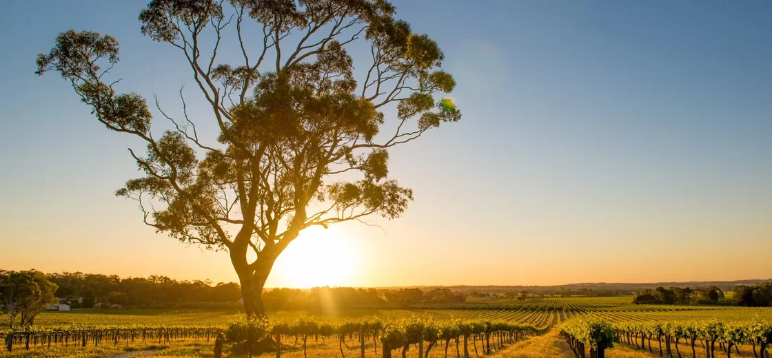 Barossa Valley, Australia