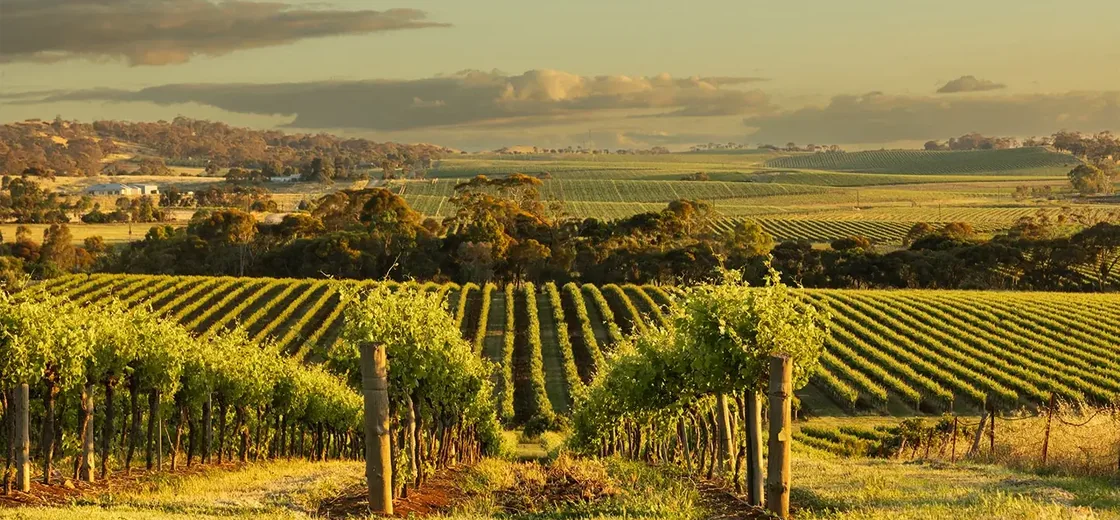 Clare Valley, Australia
