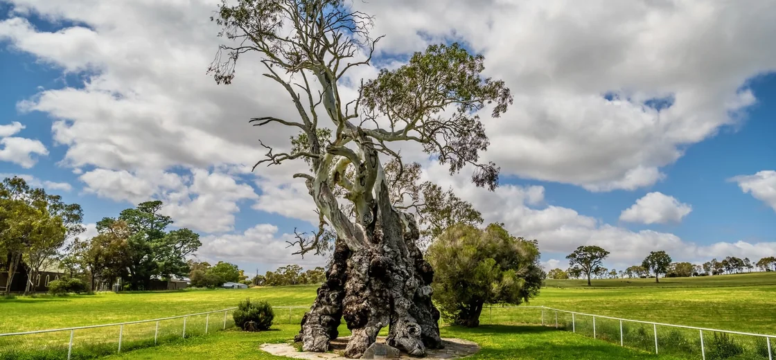 Eden Valley, Australia