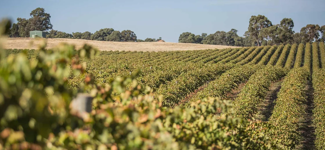 Heathcote, Australia