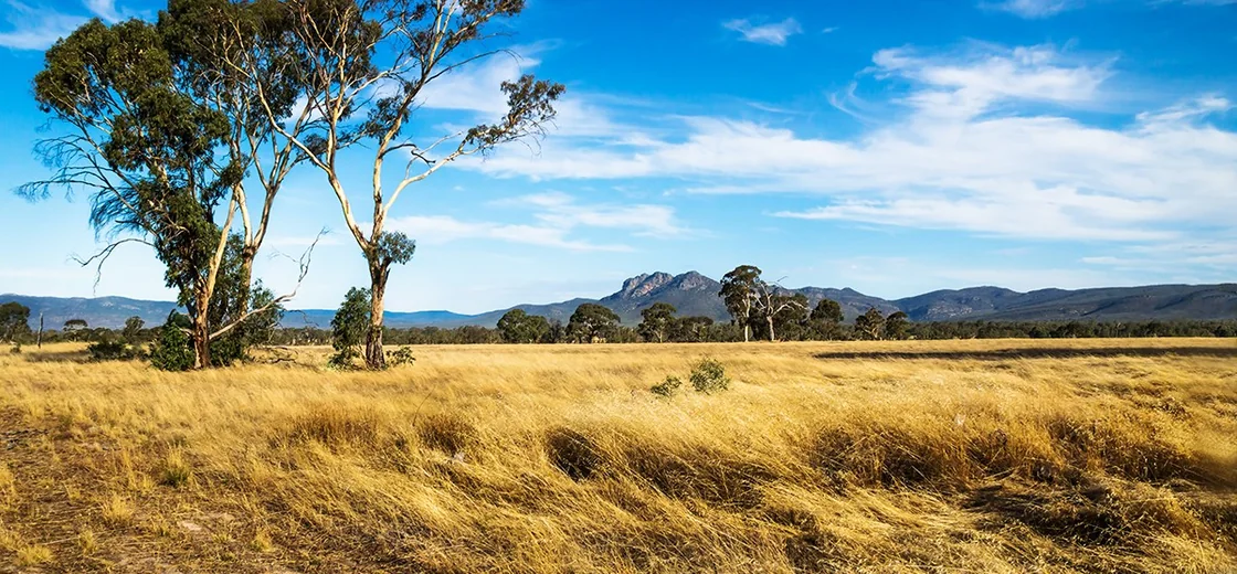 Henty, Australia