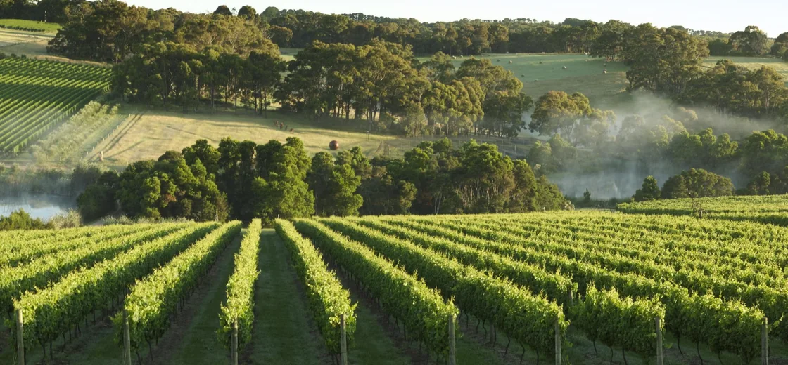 Mornington Peninsula, Australia