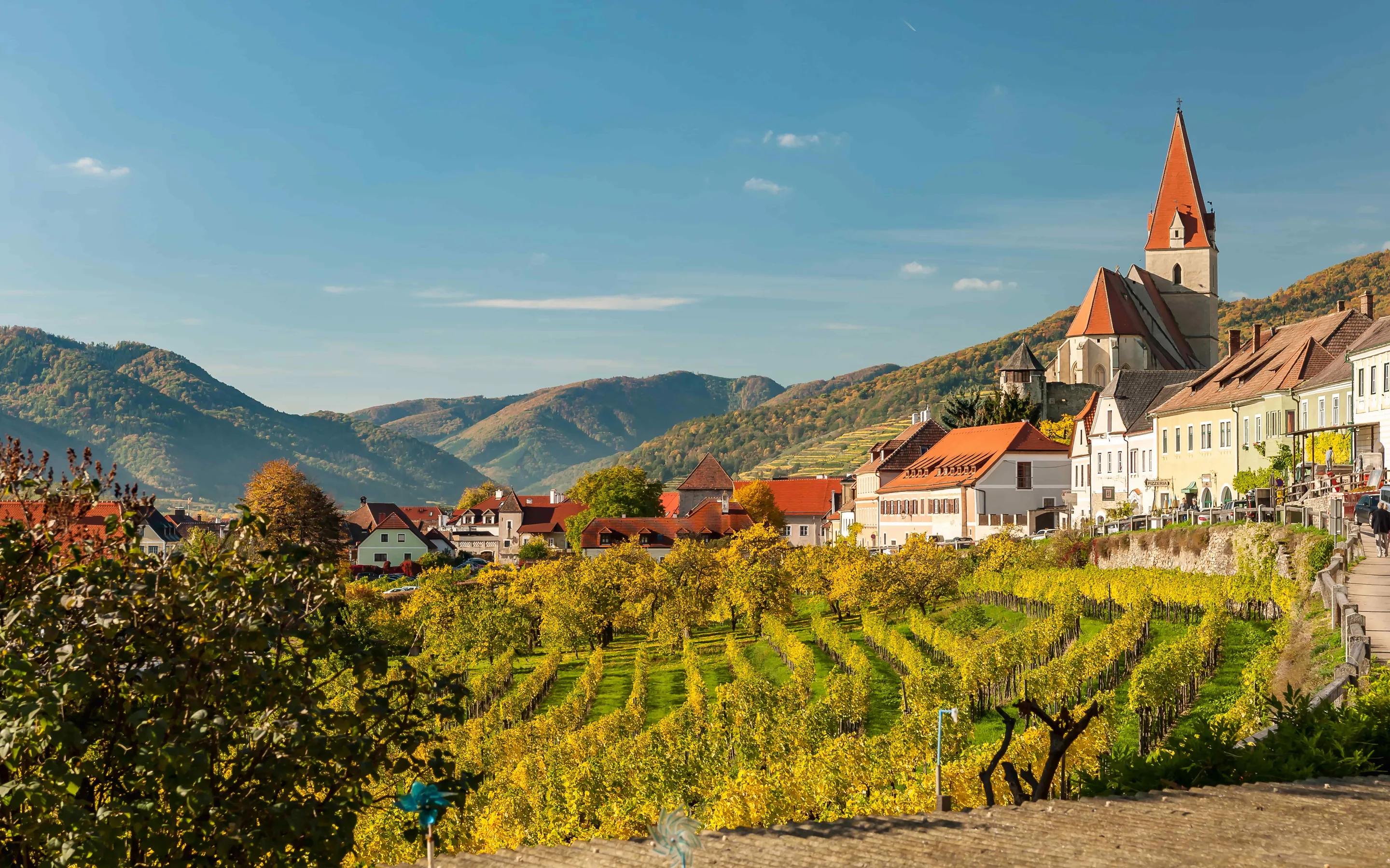 Autumn vineyards in gold and green running down to a village of red-tiled roofs and a fortified church with a tall spire, wooded hills behind