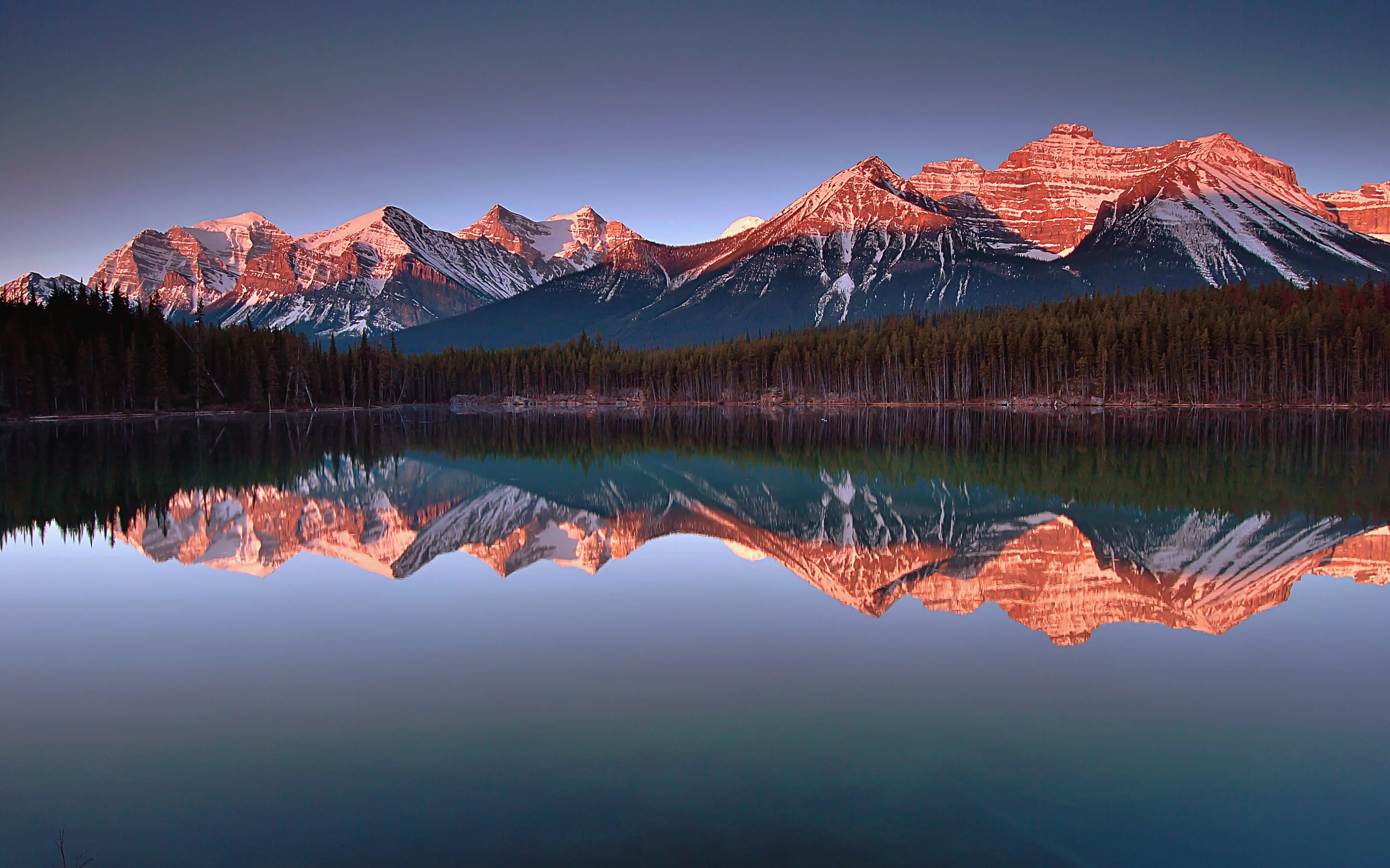 A range of snow-streaked peaks lit rose-pink at first light above a dark band of conifers, the whole range mirrored in a still lake.