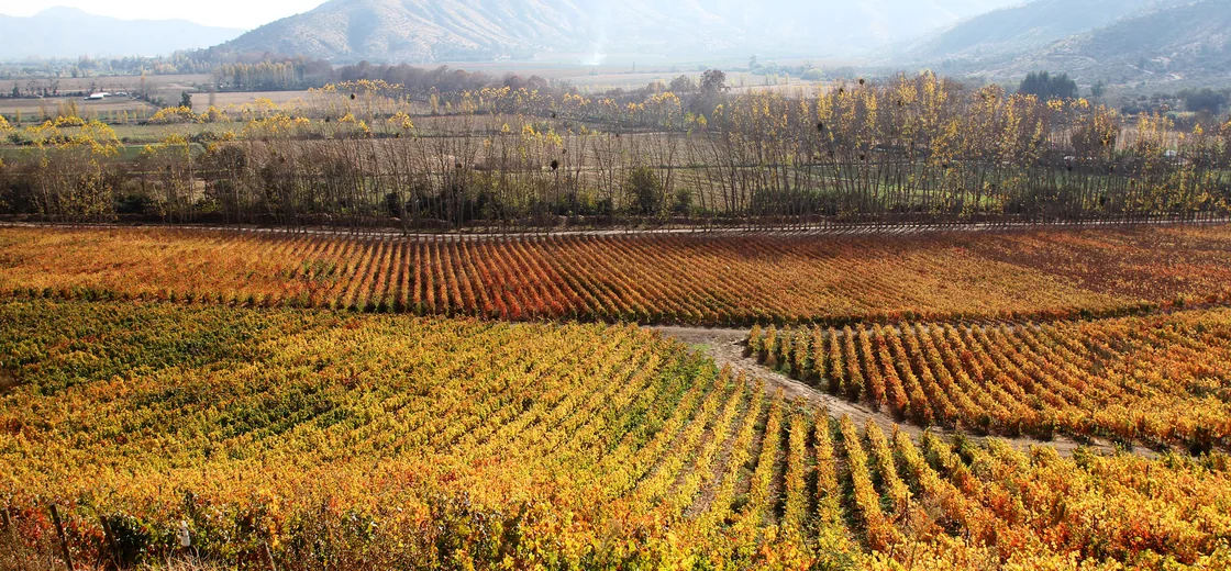 Itata, Chile