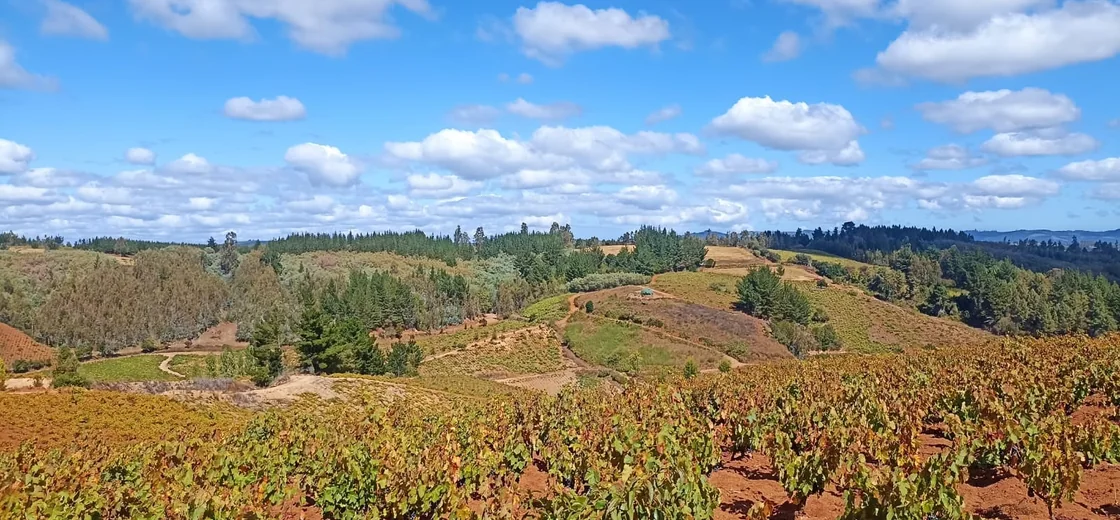 Maule, Chile