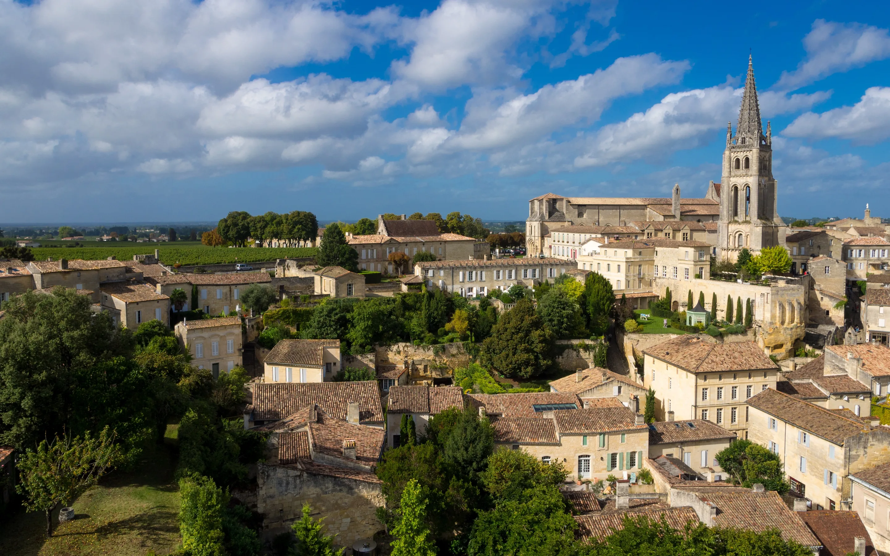 The hilltop town of Saint-&Eacute;milion in Bordeaux seen from above, its Romanesque bell tower rising over limestone houses and tiled roofs, with vineyards running out to the horizon behind it.