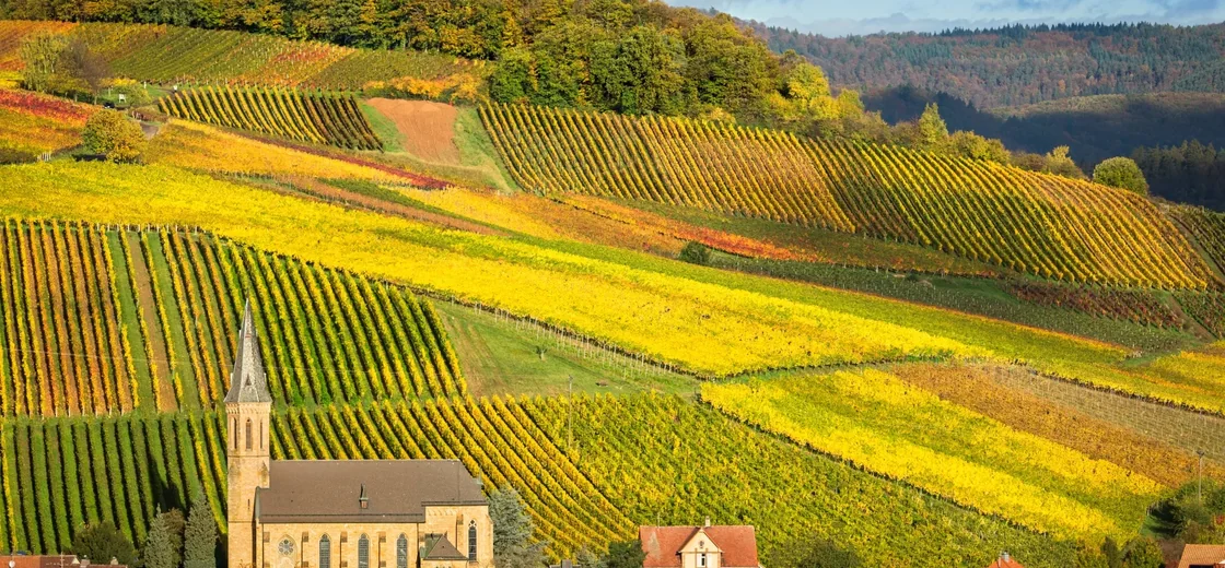 Rheinhessen, Germany