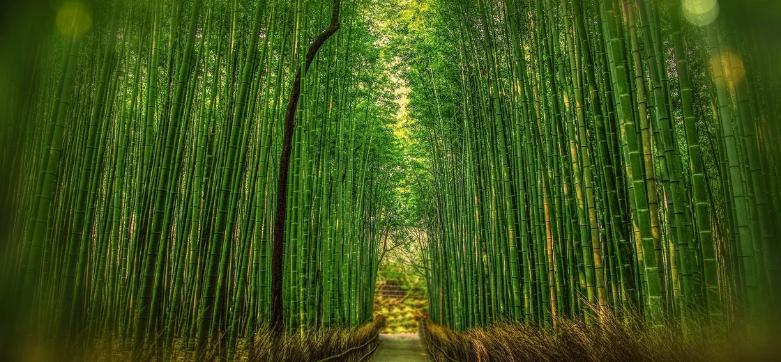 Kyoto, Japan