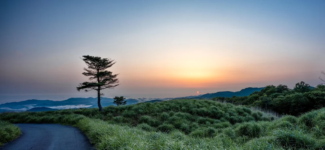 Nadagogo, Japan