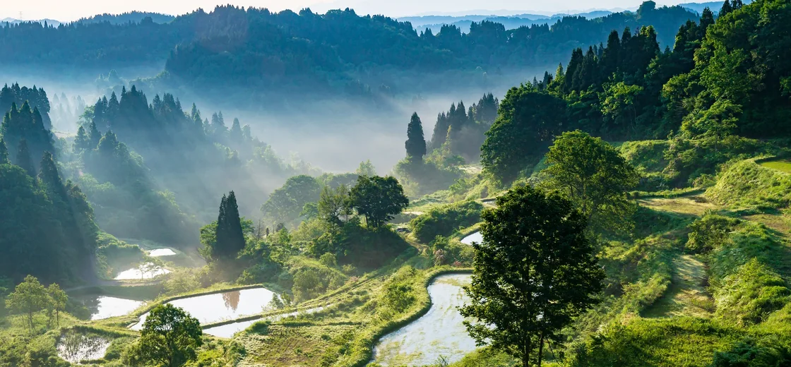Niigata, Japan