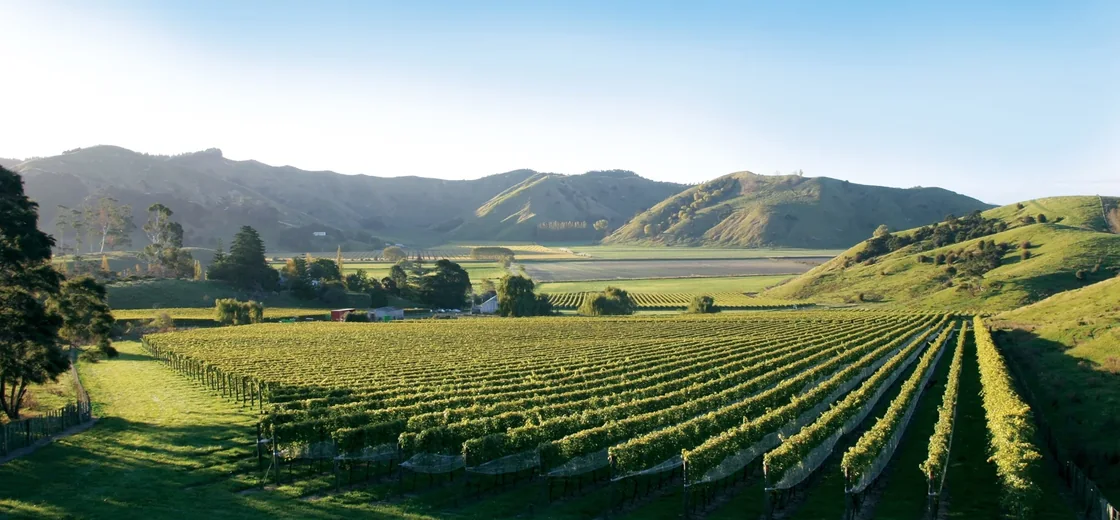 Gisborne, New Zealand