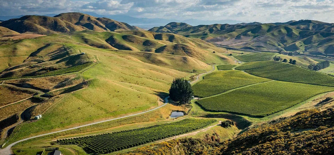 Marlborough, New Zealand