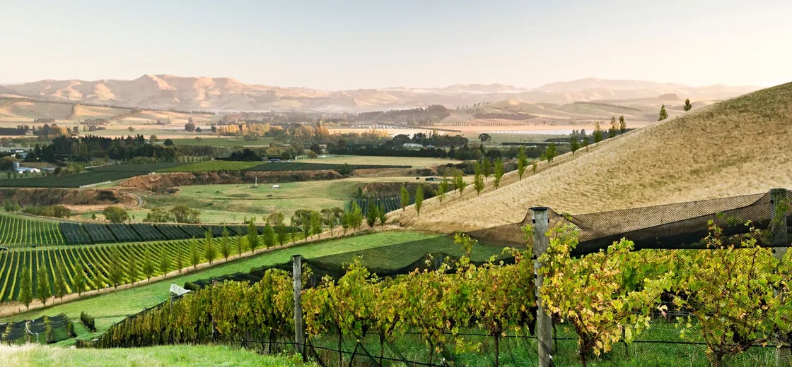 North Canterbury, New Zealand
