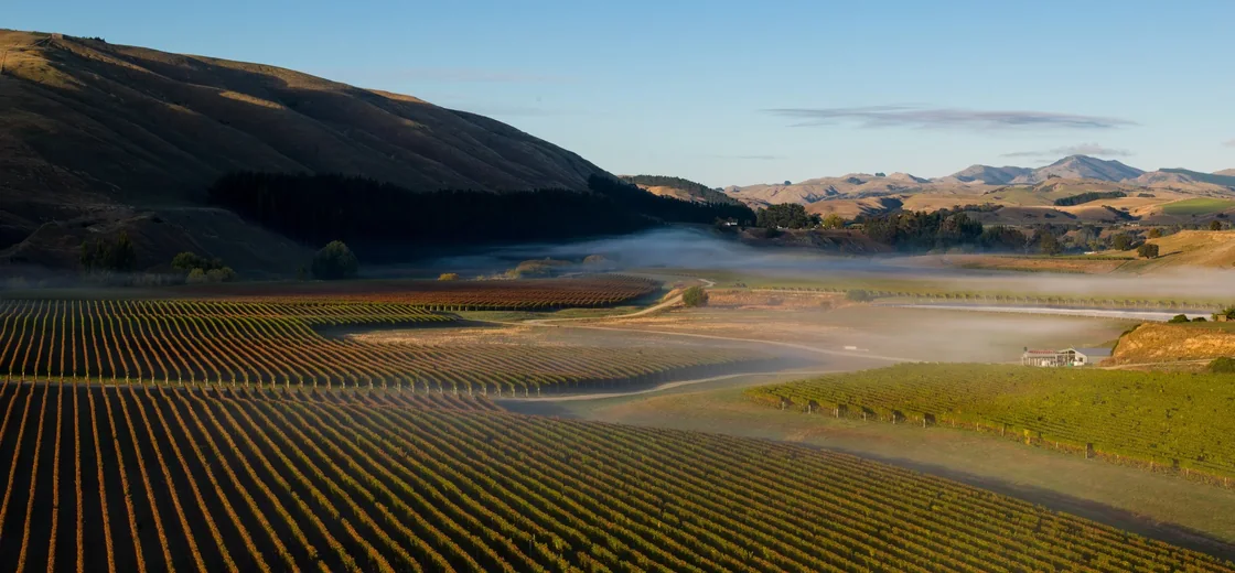 Wairarapa, New Zealand