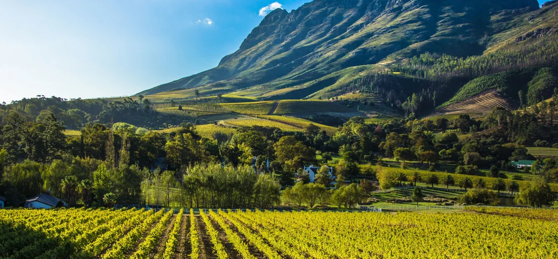 Stellenbosch, South Africa