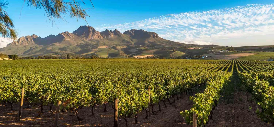 Swartland, South Africa