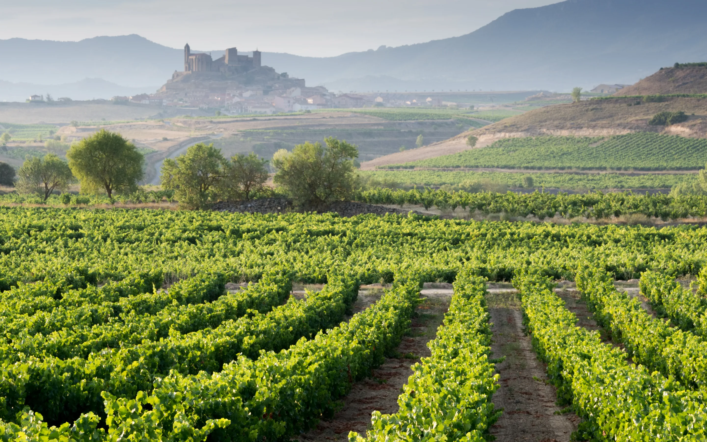 Rows of vines running away to a hilltop village with a fortified church standing above it, and hazy mountain ridges behind