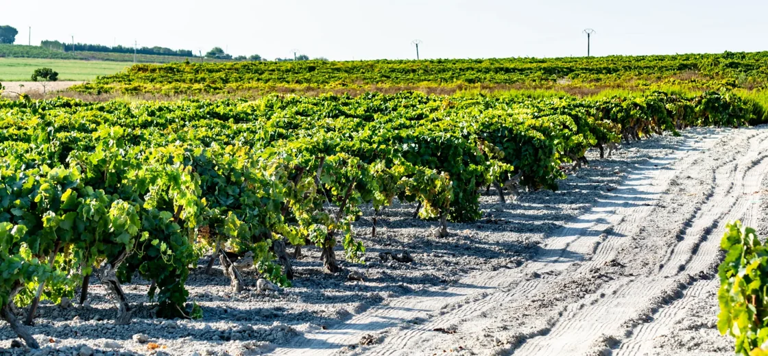 Jerez, Spain