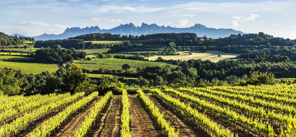 Penedès, Spain