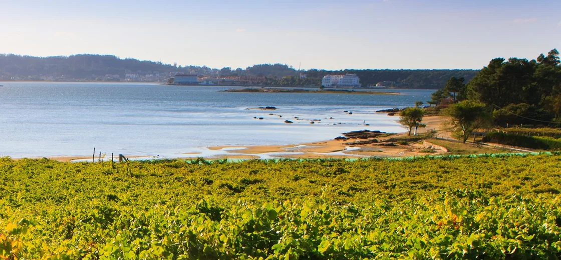 Rías Baixas, Spain