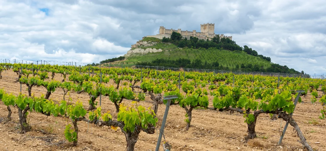 Ribera del Duero, Spain