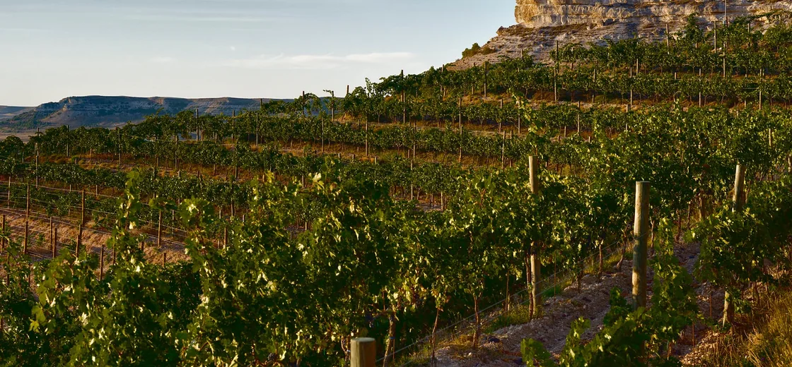 Rueda, Spain