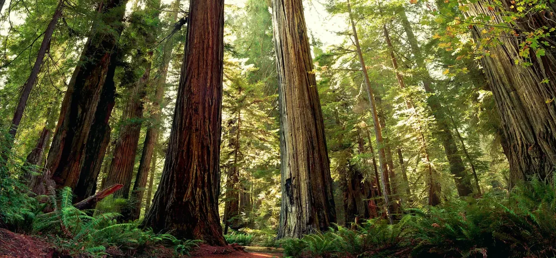Mendocino County, United States