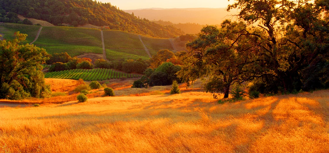 Sonoma County, United States