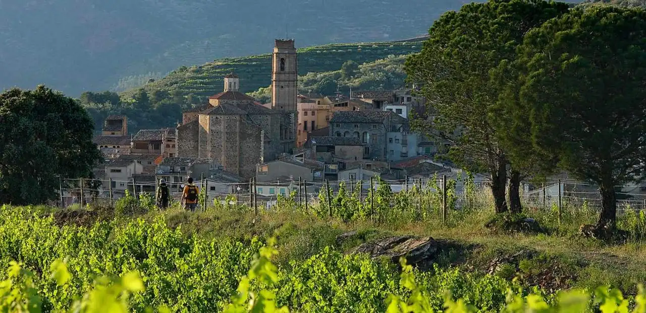 Álvaro Palacios &mdash; verified Wine producer