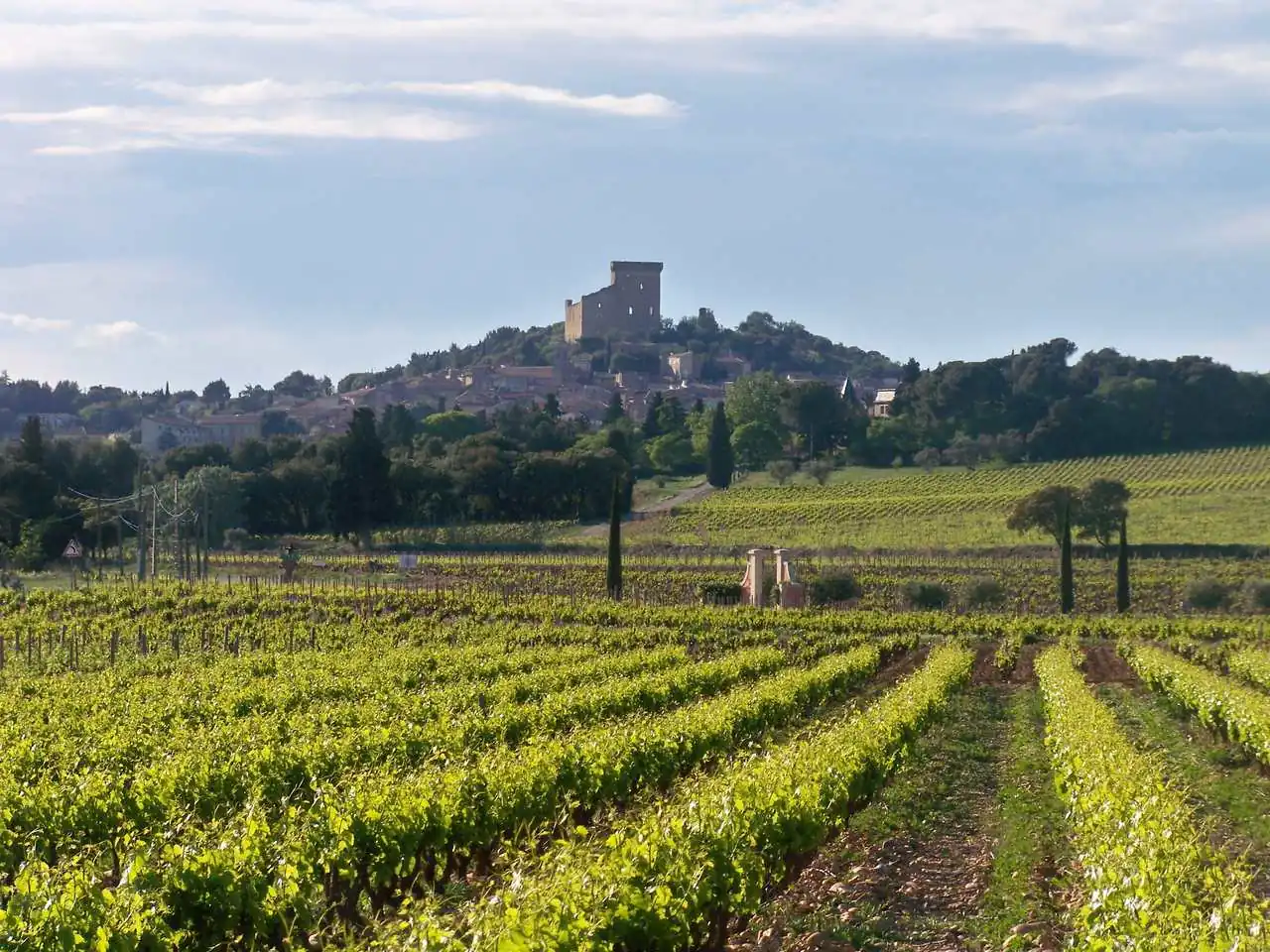 Château de Beaucastel &mdash; verified Wine producer