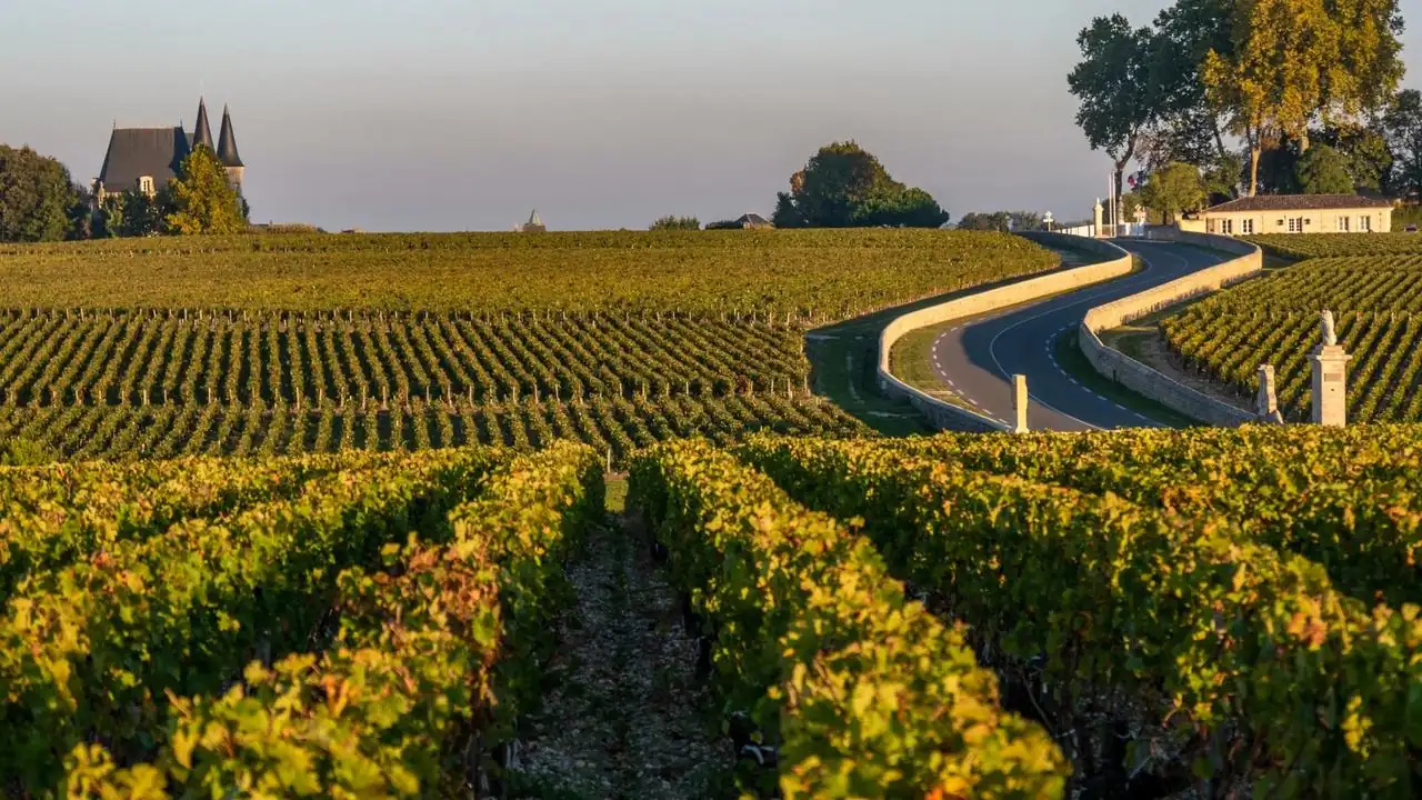 Château Pontet-Canet &mdash; verified Wine producer