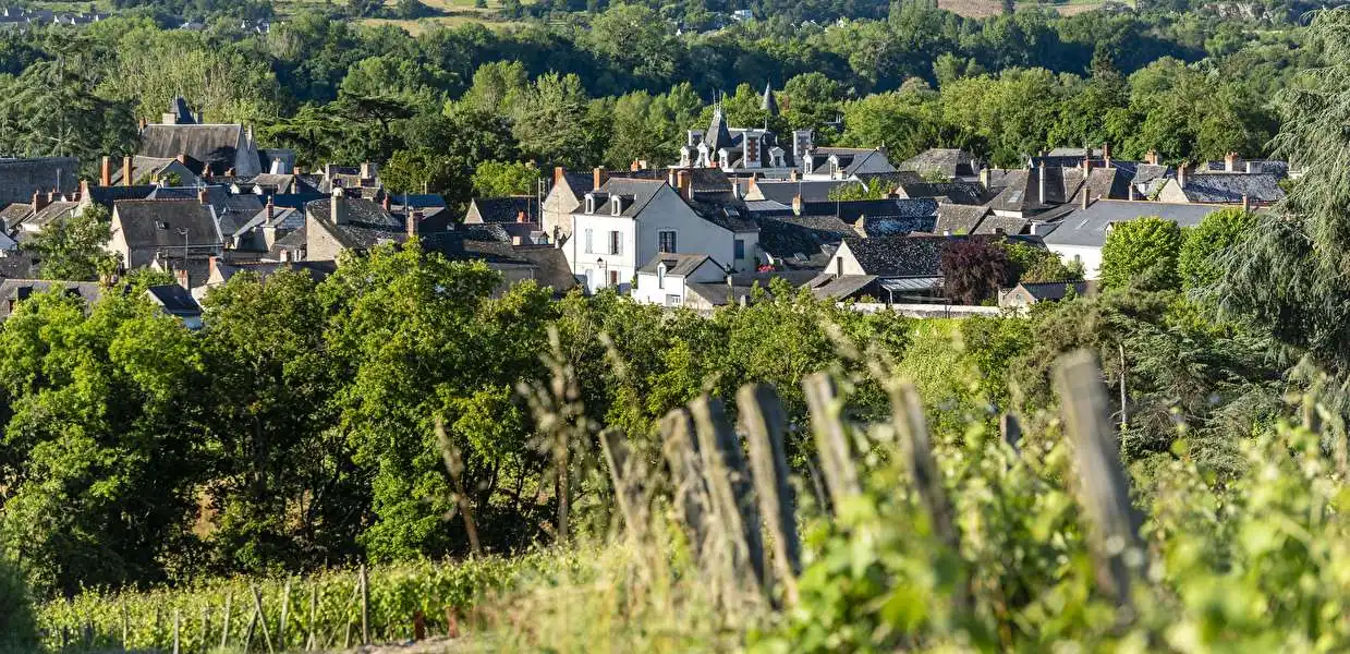 Coulée de Serrant / Nicolas Joly &mdash; verified Wine producer