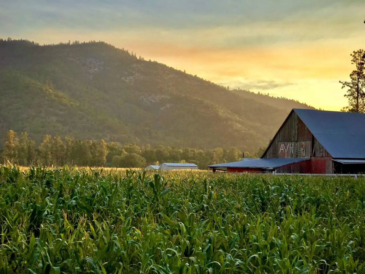 Cowhorn Vineyard & Garden &mdash; verified Wine producer