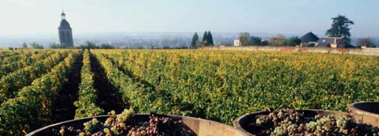 Domaine Huet &mdash; verified Wine producer