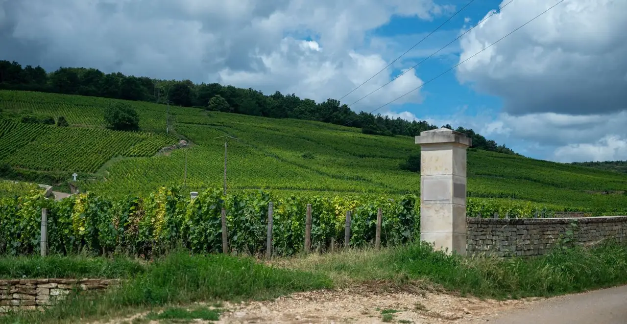 Domaine Leflaive &mdash; verified Wine producer