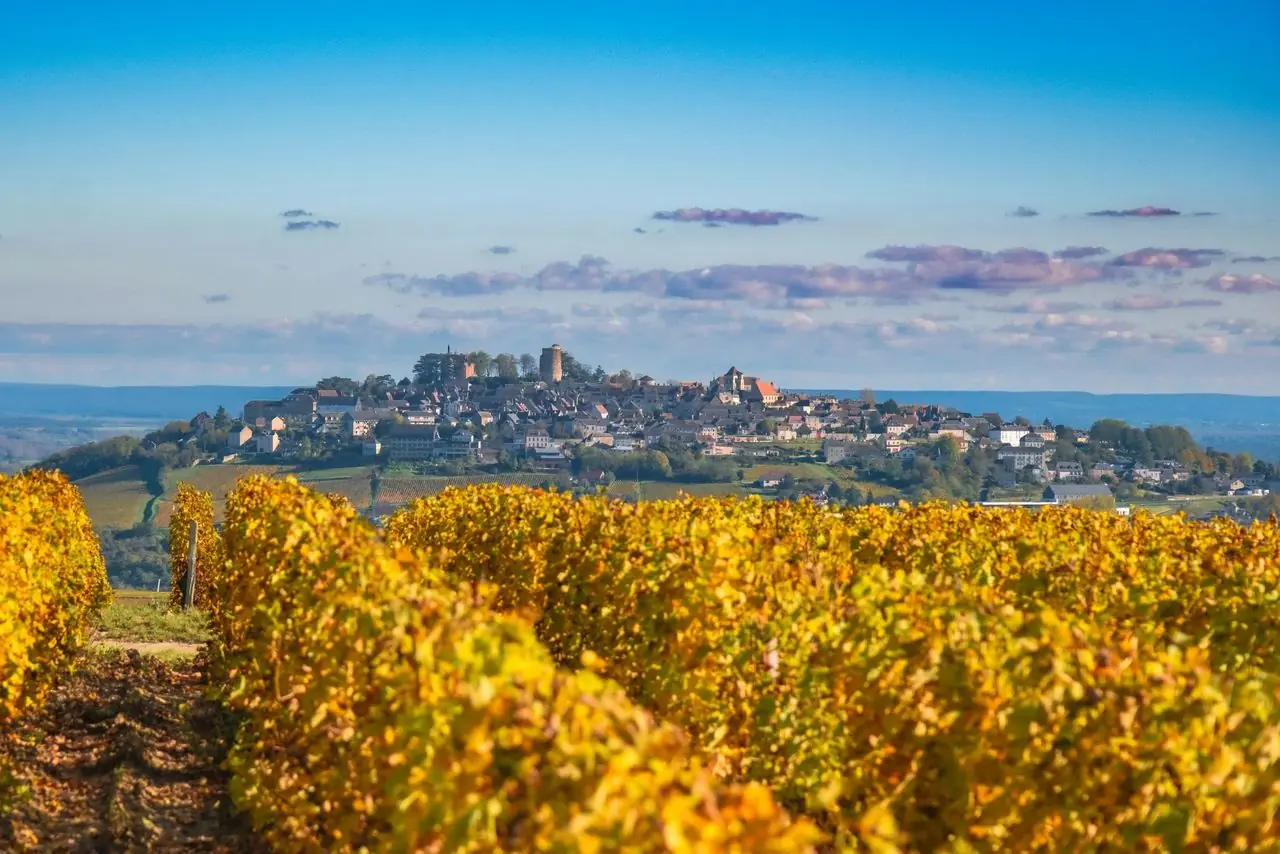 Domaine Vacheron &mdash; verified Wine producer