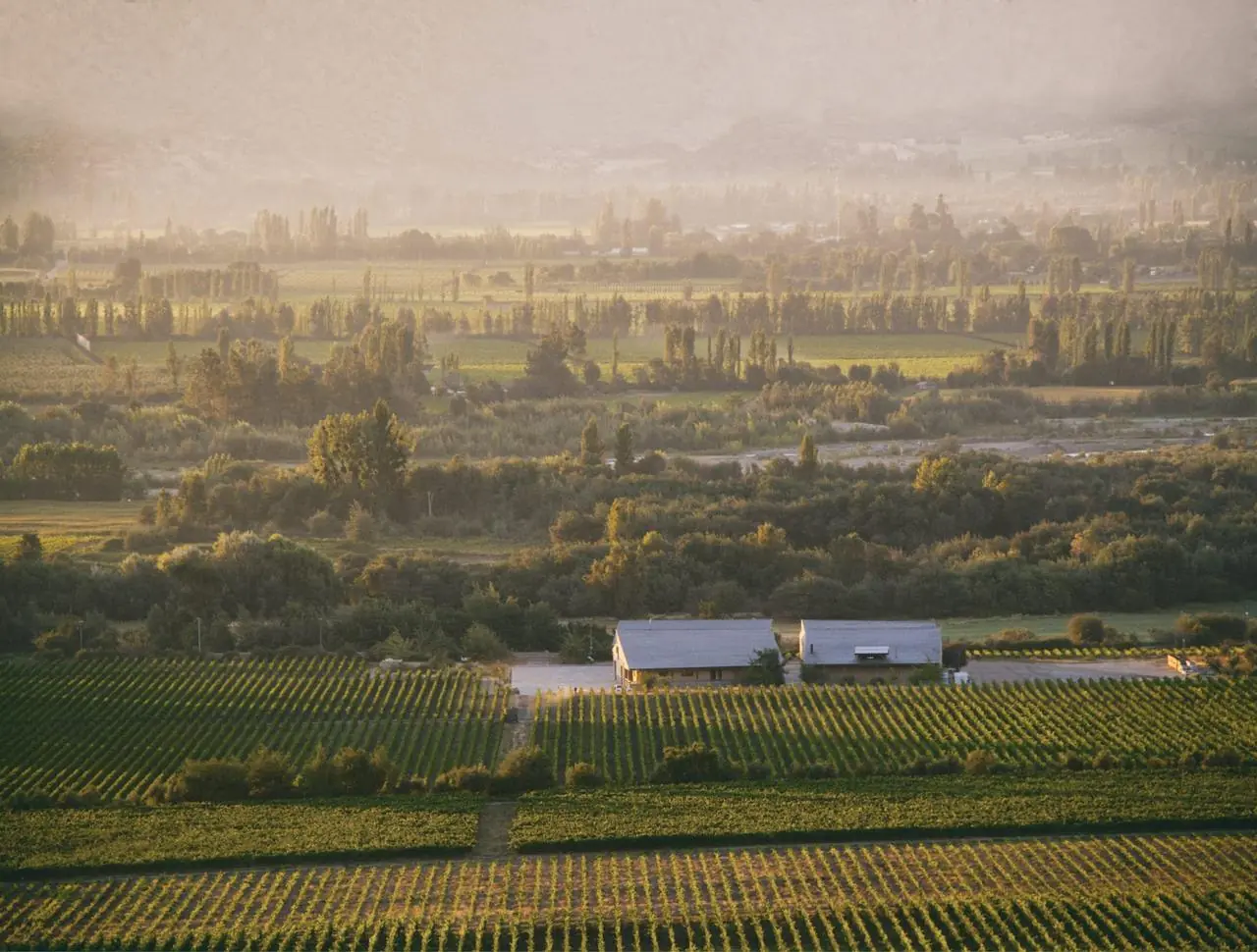 Emiliana Organic Vineyards &mdash; verified Wine producer