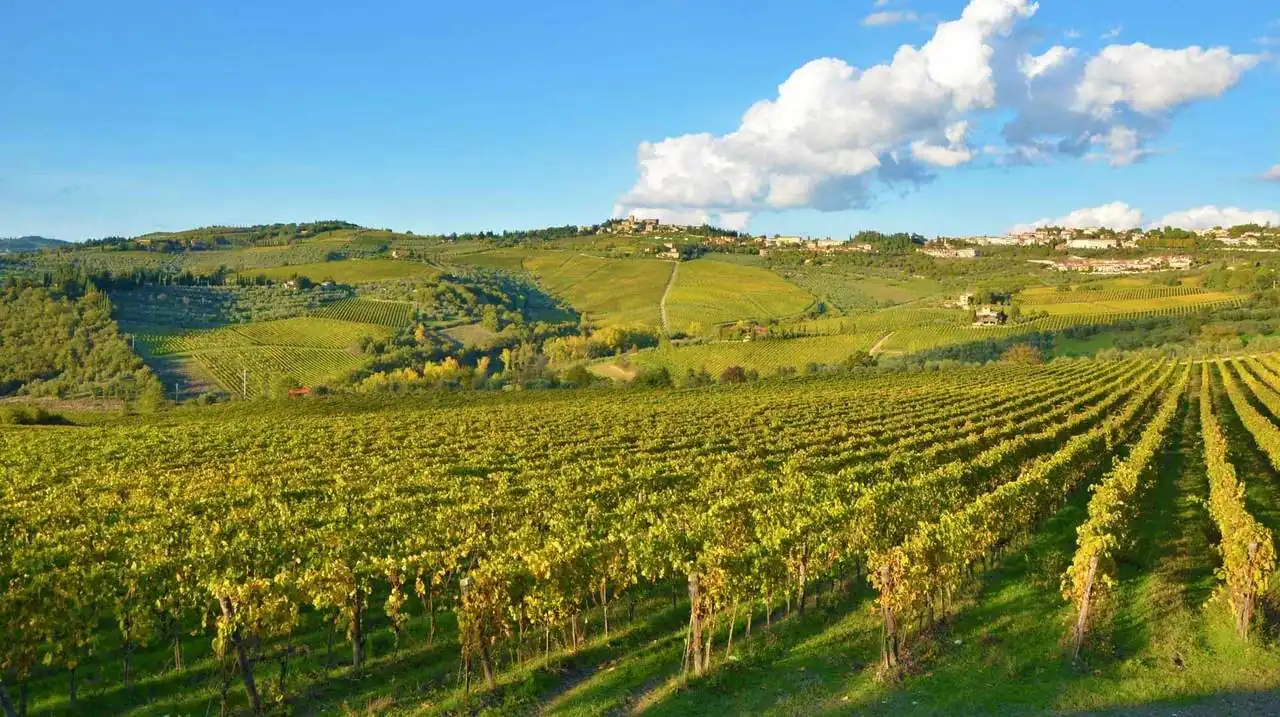 Fontodi &mdash; verified Wine producer