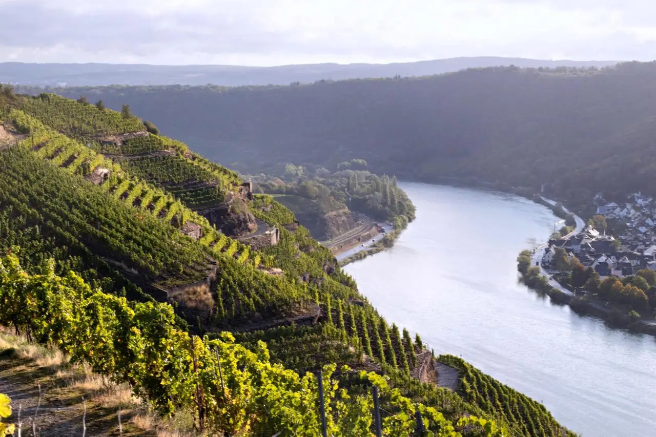 Weingut Clemens Busch &mdash; verified Wine producer