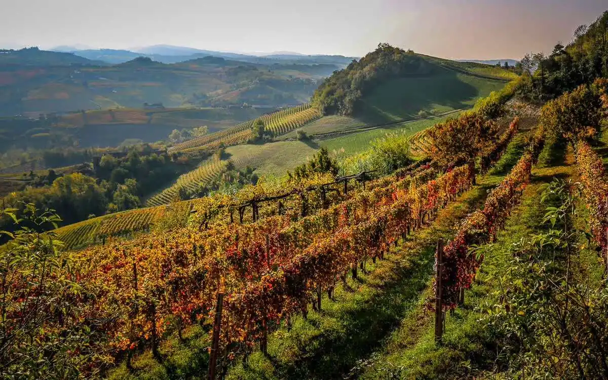 Weingut Emrich-Schoenleber &mdash; verified Wine producer