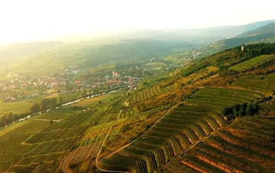 Weingut Loimer &mdash; verified Wine producer