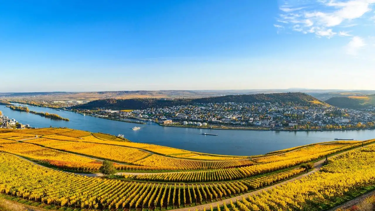 Weingut Wittmann &mdash; verified Wine producer