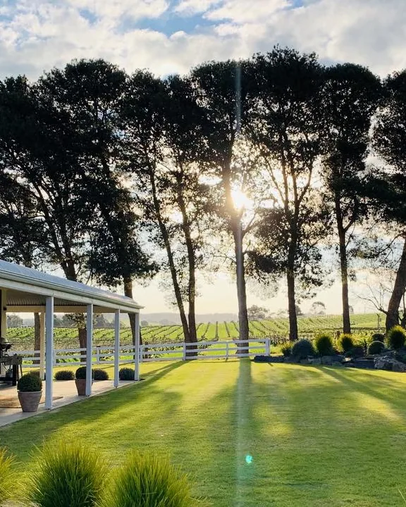 Alkina Wine Estate &mdash; verified Wine producer