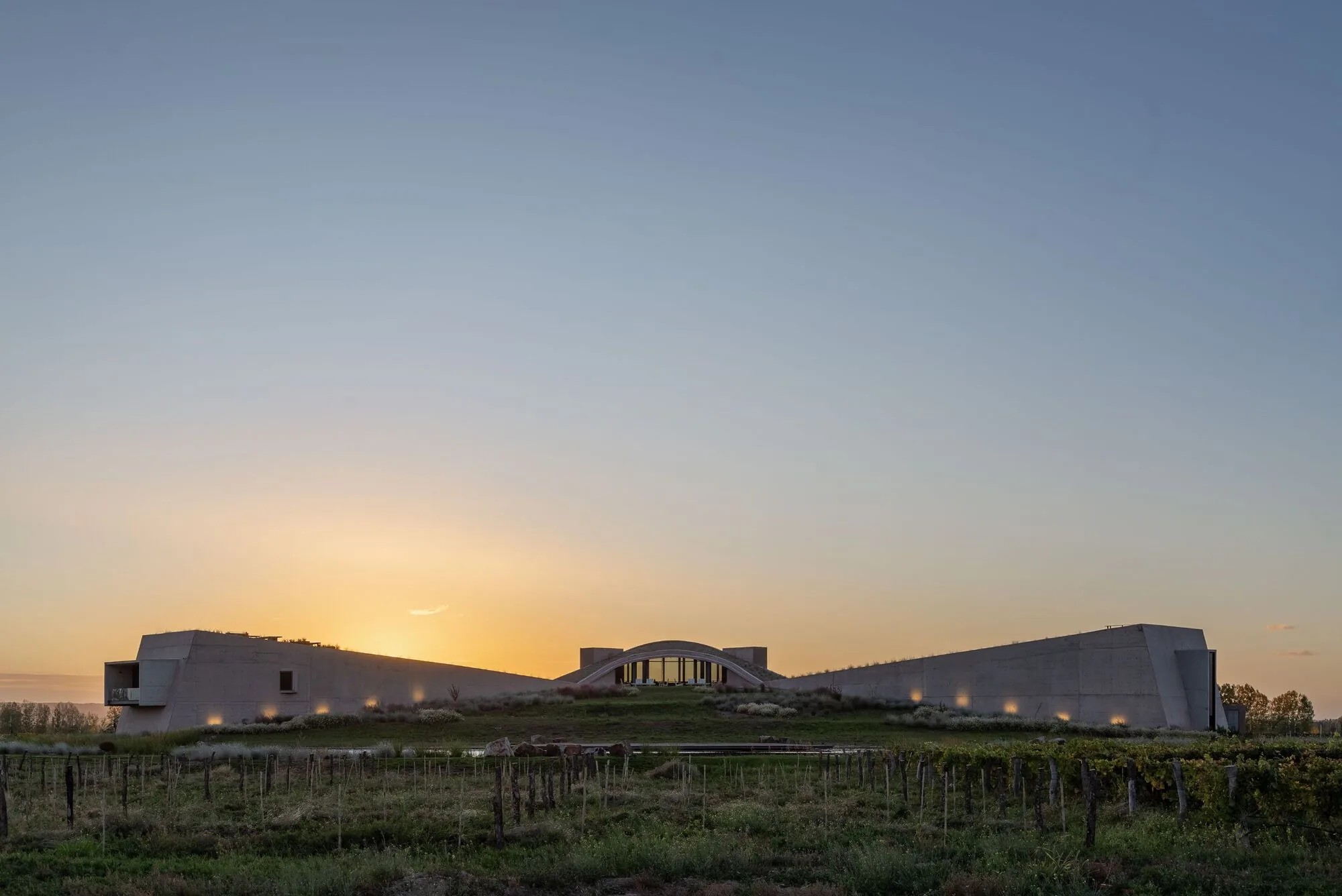 Long, low concrete building with an arched glass centre behind vine rows at sunset, under a pale sky